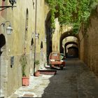 Castiglione della Pescaia Moferauto