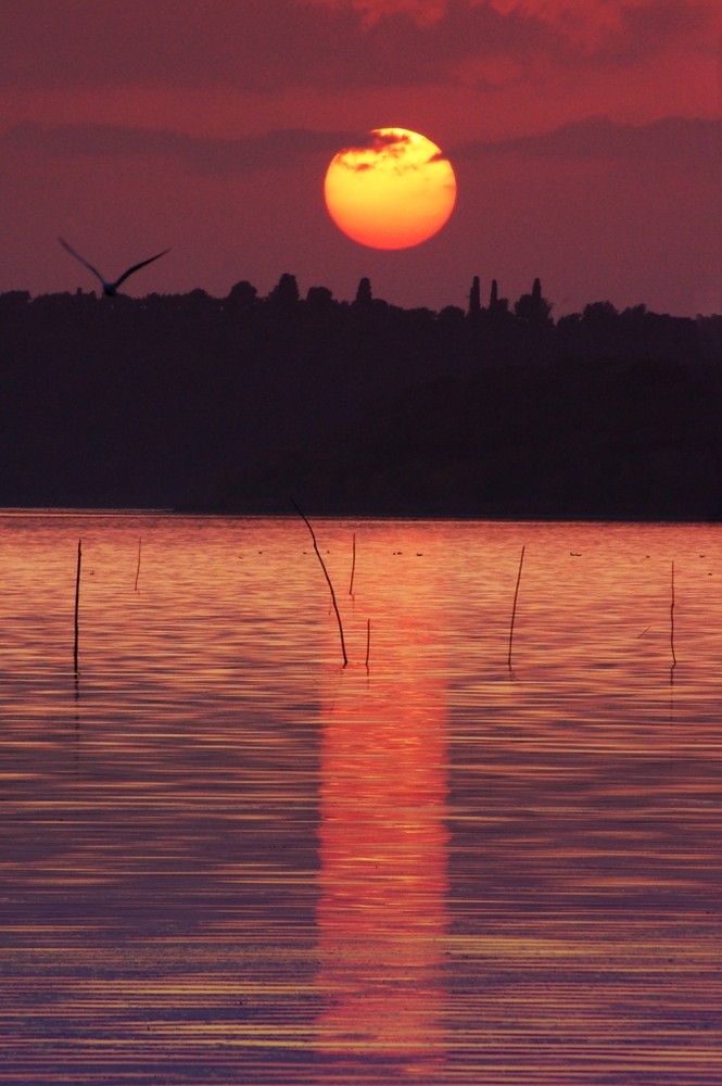 Castiglione di Lago