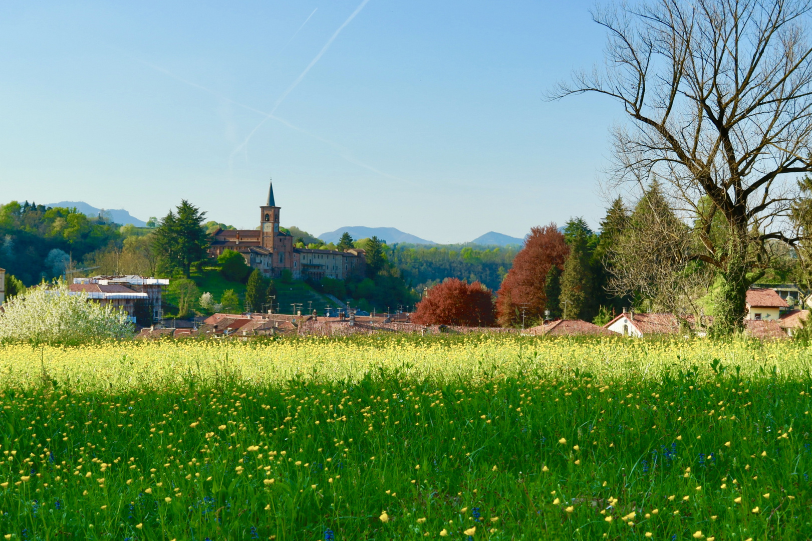 Castiglione Olona Foto Immagini architetture, vicoli e