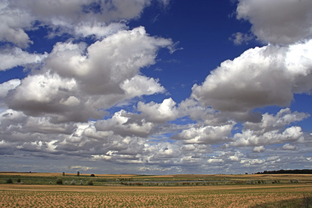 Castilla