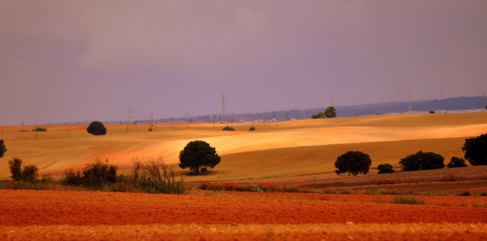 CASTILLA (Cuenca)