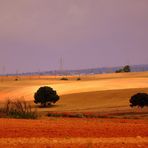 CASTILLA (Cuenca)