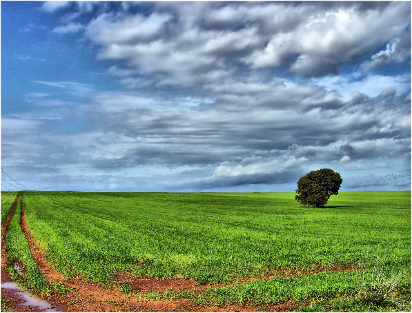 Castilla en Primavera