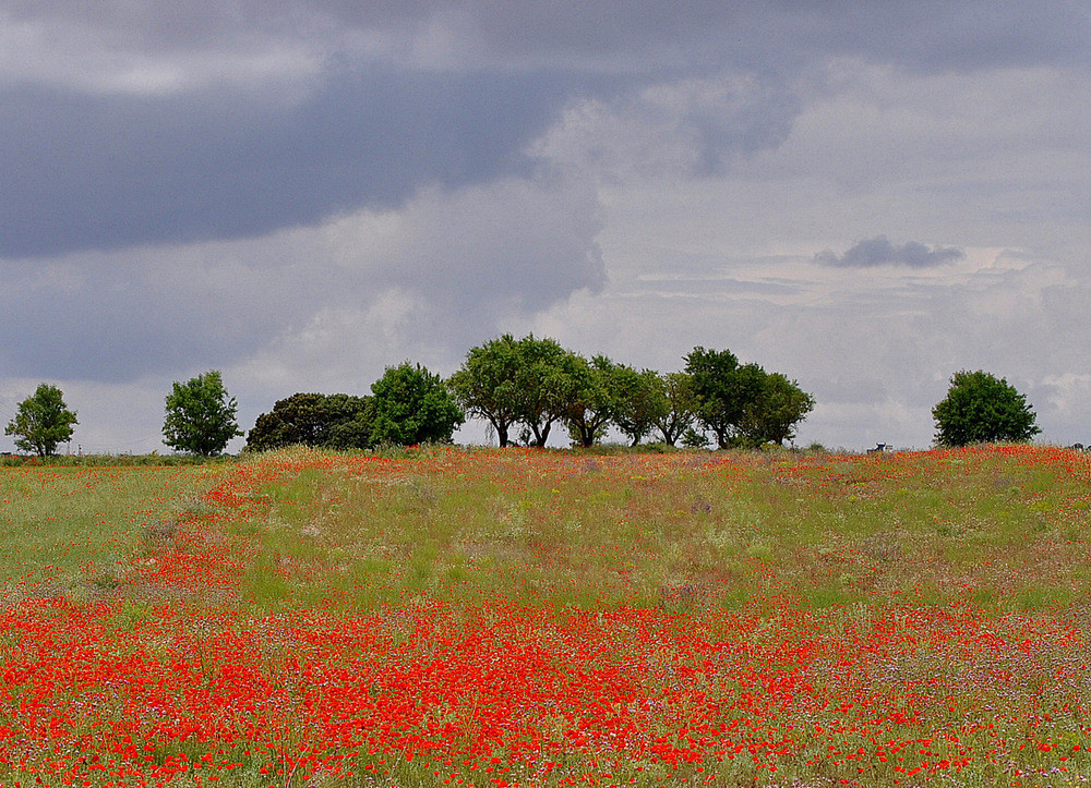 Castilla-La Mancha