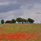 Castilla-La Mancha