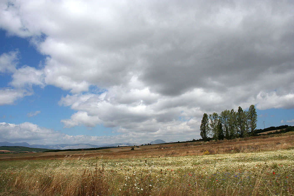 CASTILLA LA MANCHA