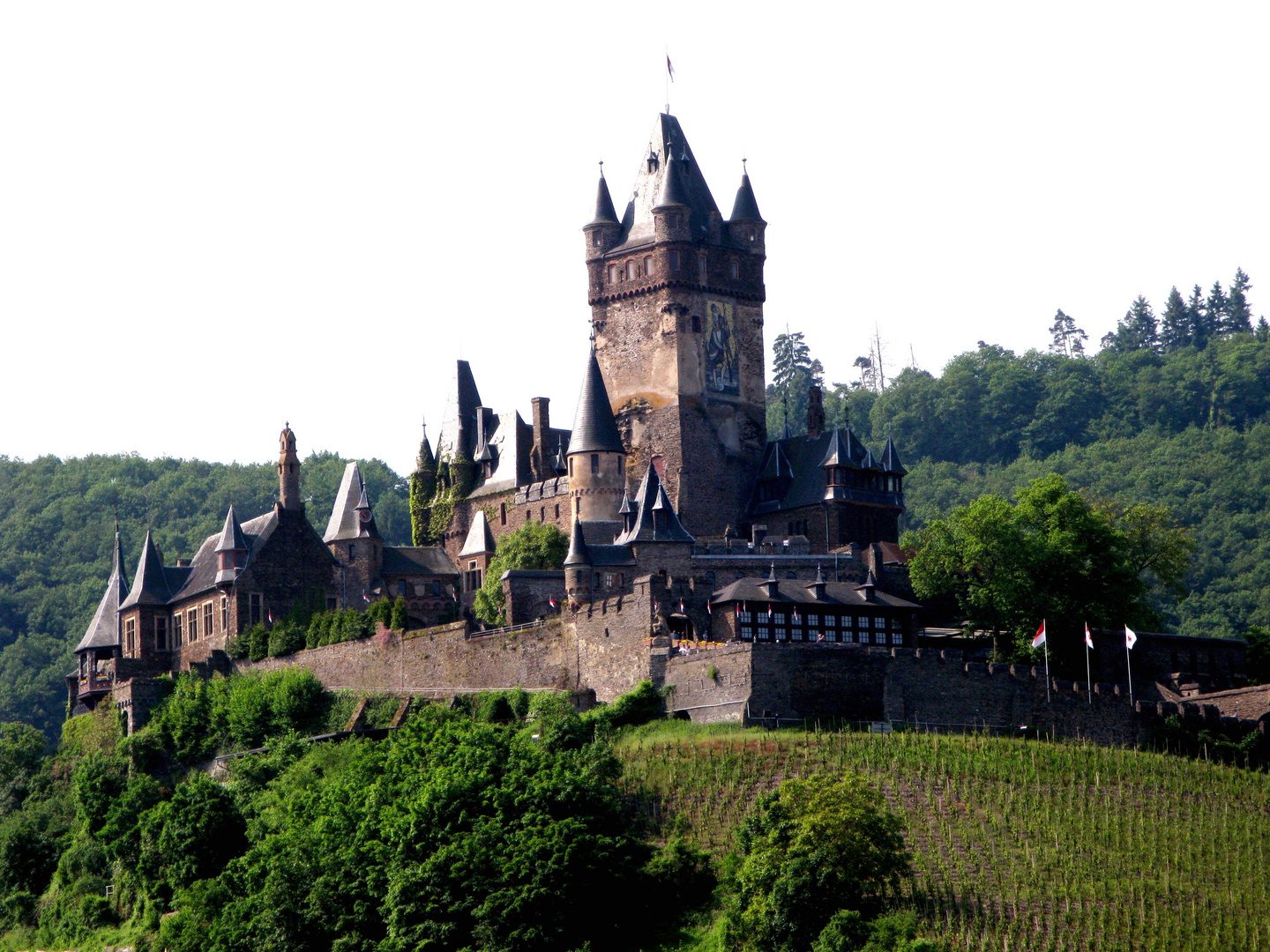 Castillo a orillas del Rhin - Alemania