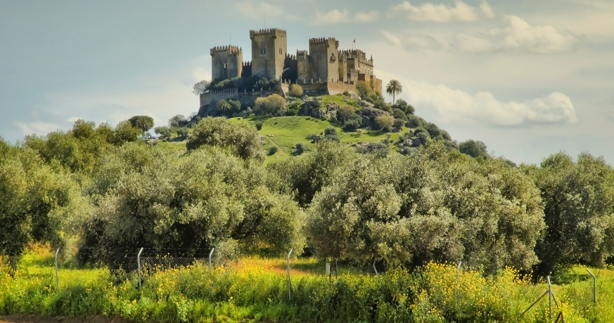 CASTILLO DE ALMODÓVAR