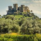 CASTILLO DE ALMODÓVAR