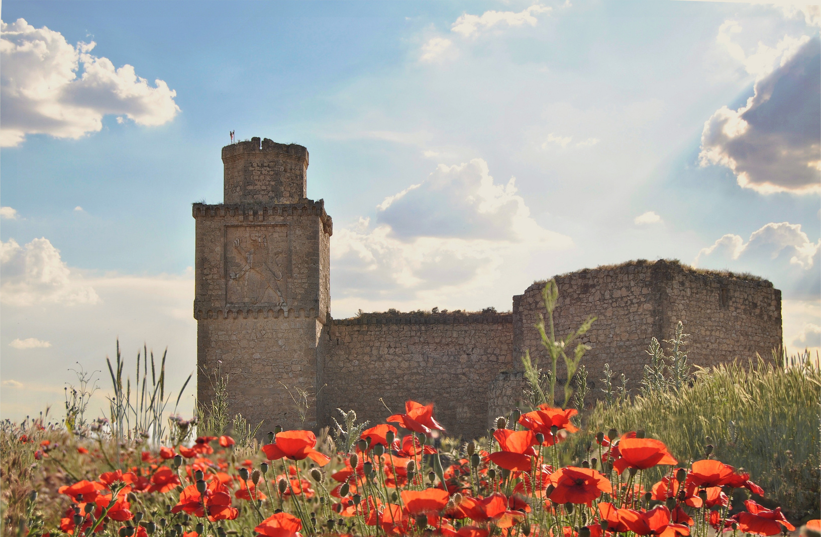 Castillo de Barcience