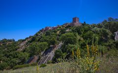 Castillo de Castellar