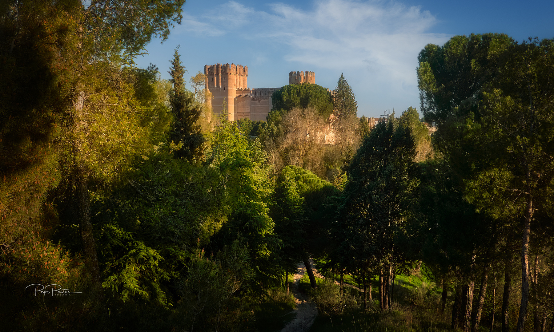 Castillo de Coca. Segovia (España)