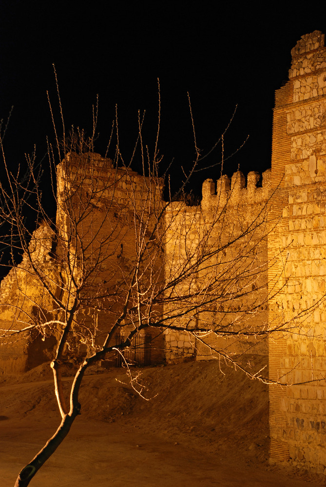 Castillo de Escalona