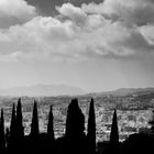 Castillo de Gibralfaro Malaga