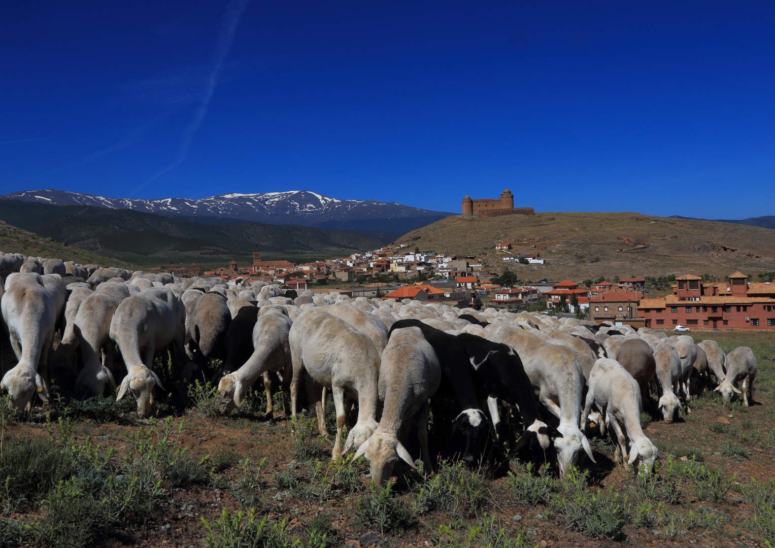 Castillo de la Calahorra, Andalusien