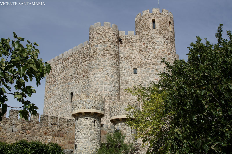 CASTILLO DE LA COCERA (SAN MARTIN DE VALDEIGLESIAS)