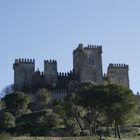 Castillo de La Floresta