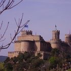 Castillo de Manzanares el Real, Día