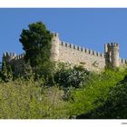 Castillo de San Servando