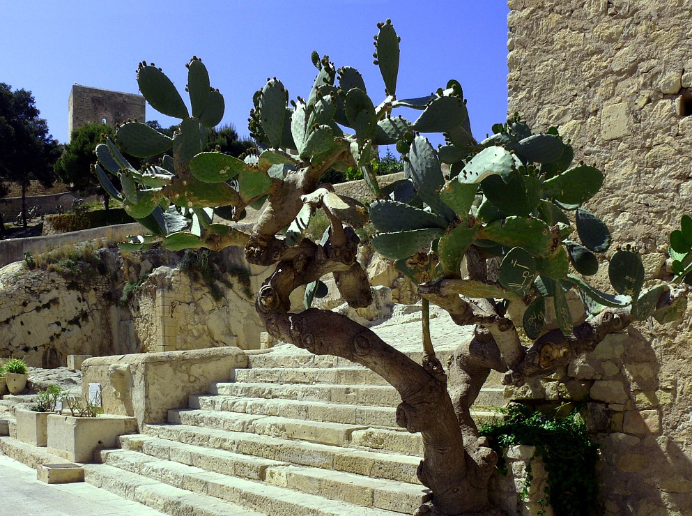 Castillo de Santa Bárbara