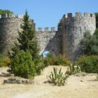 CASTILLO DE VILA VIÇOSA EN PORTUGAL