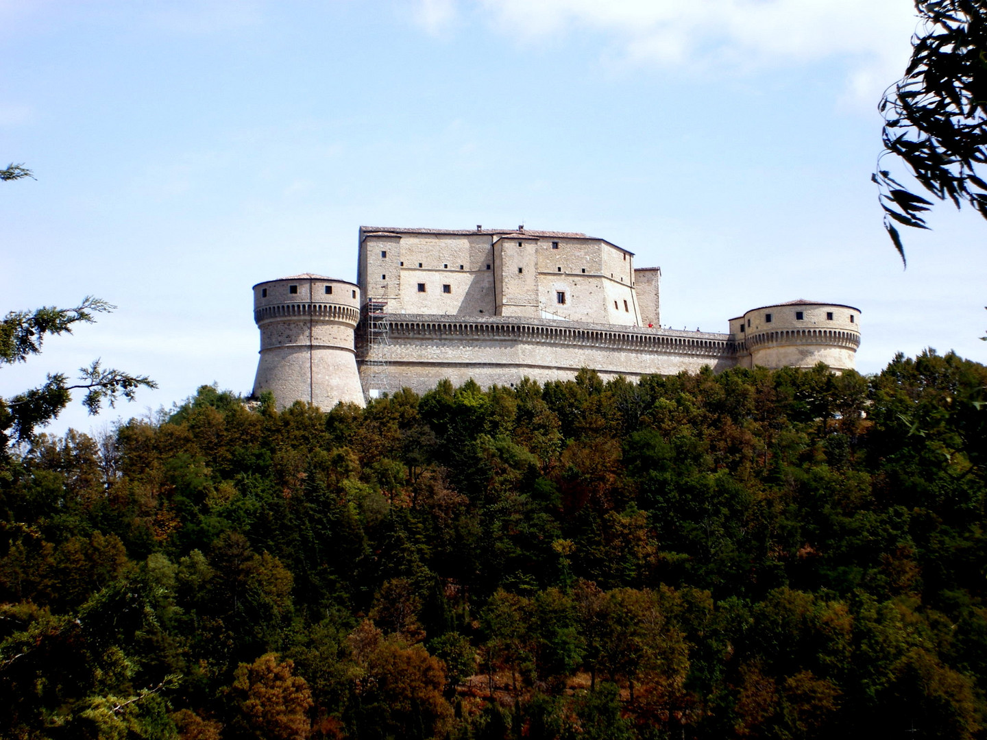 CASTILLO EN EL BOSQUE