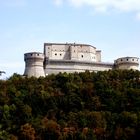 CASTILLO EN EL BOSQUE