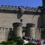 castillo Manzanares