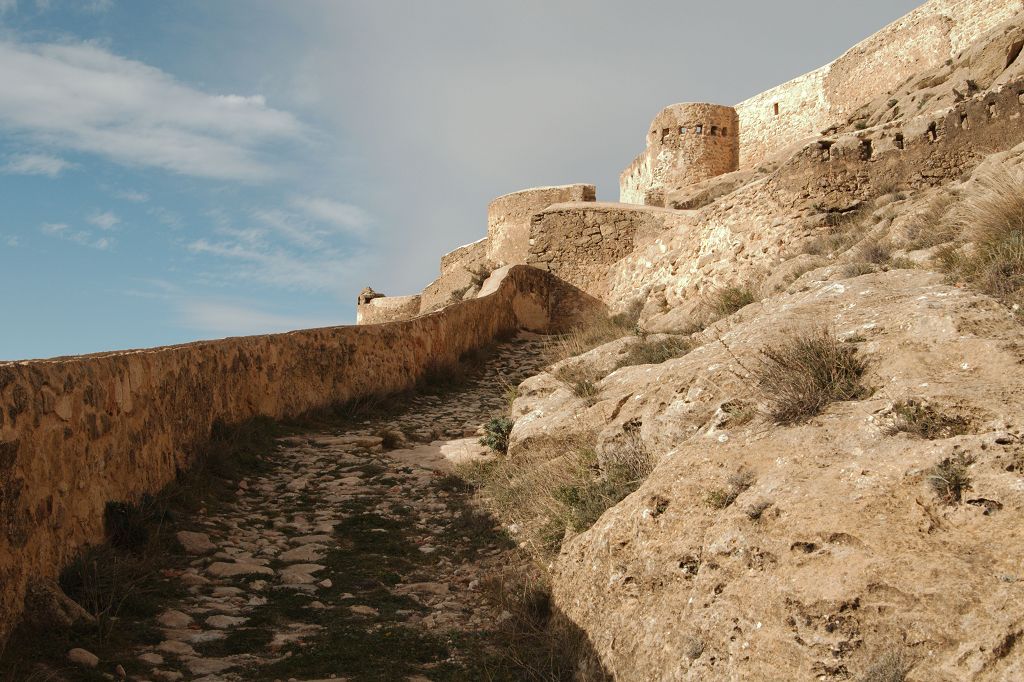 Castillo Peñas De San Pedro 