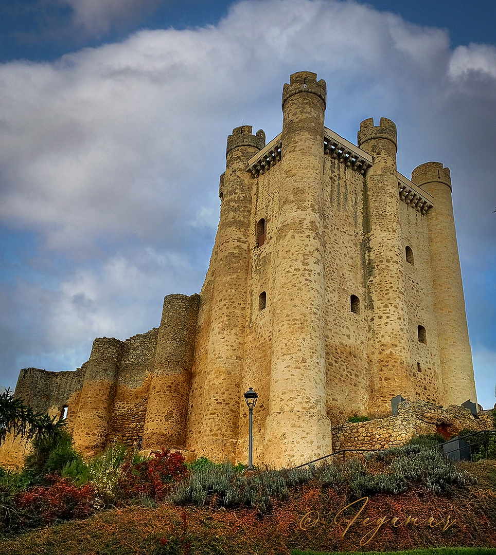 Castillo. Valencia de Don Juan