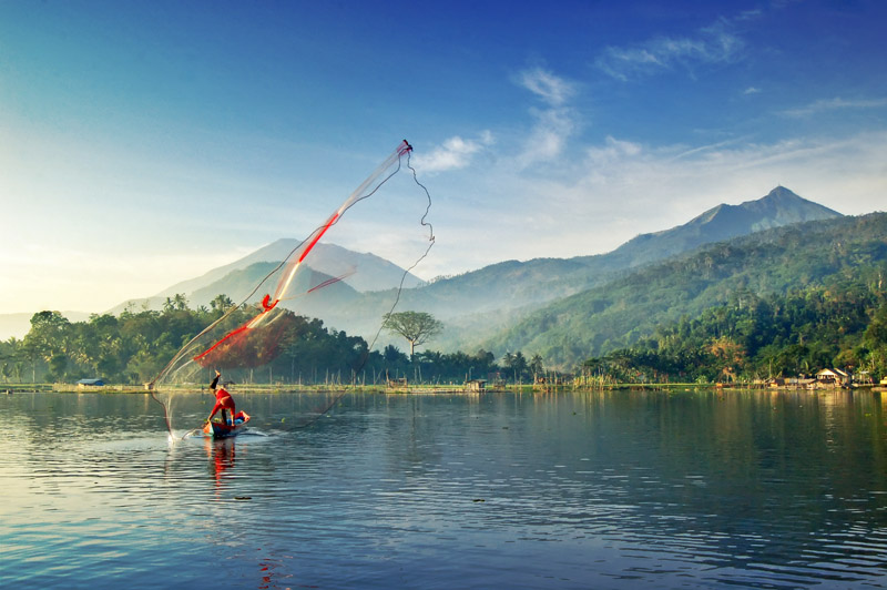 Casting a net