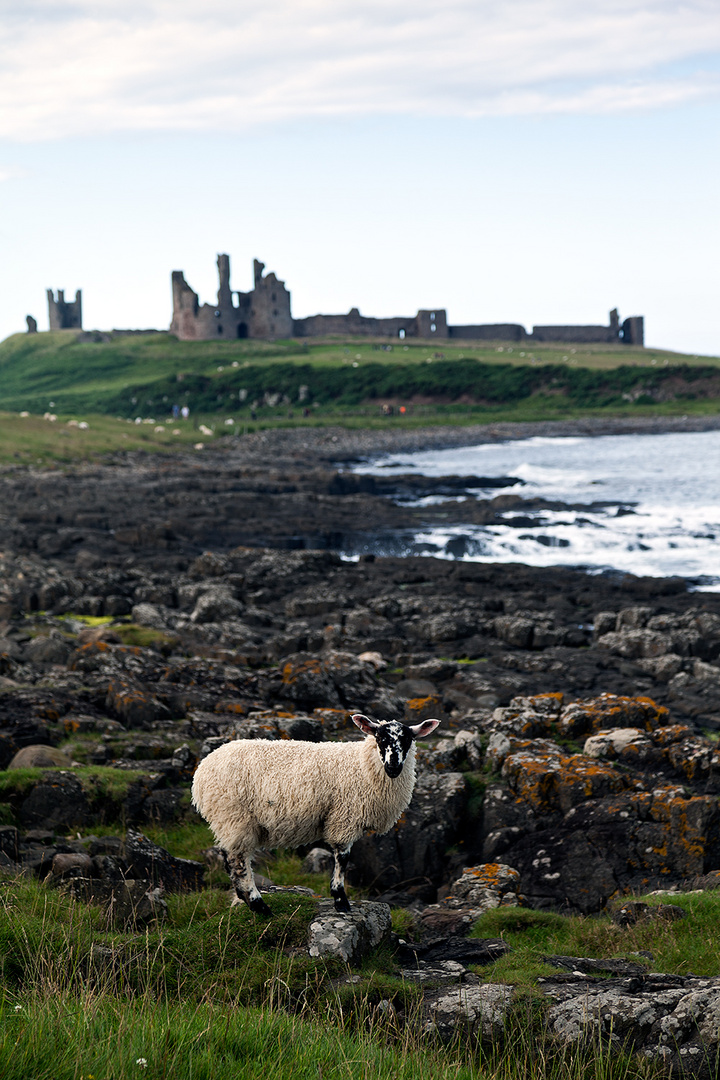 Castle and Määh