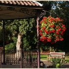 castle gardens bridgnorth 2