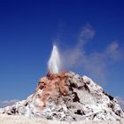 Castle Geyser