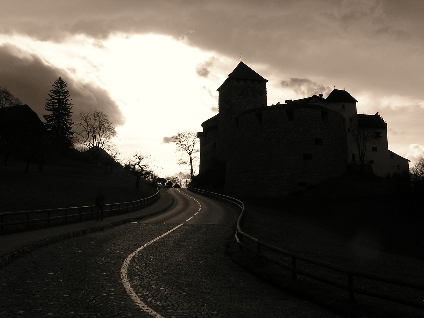 castle in dark