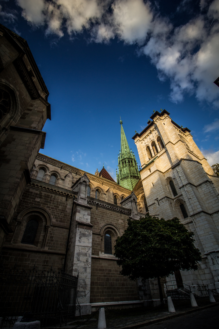 Castle in Genève