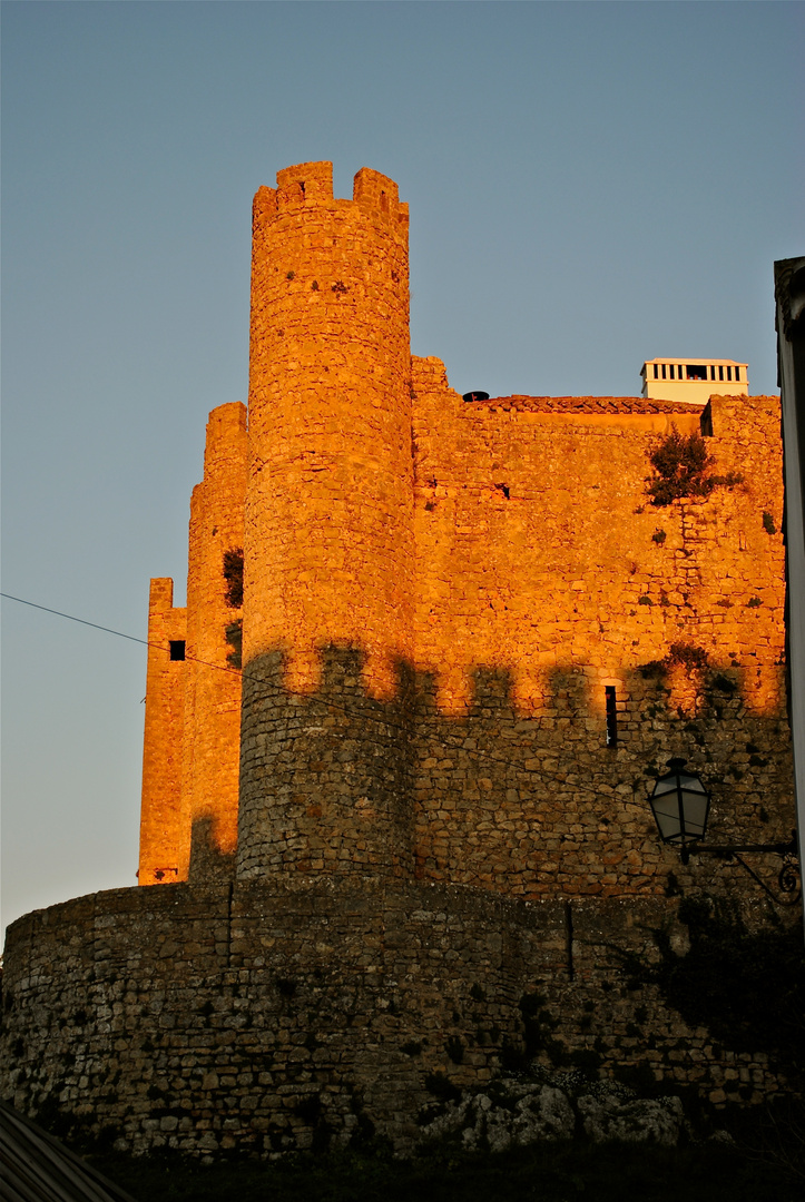 castle in obidos