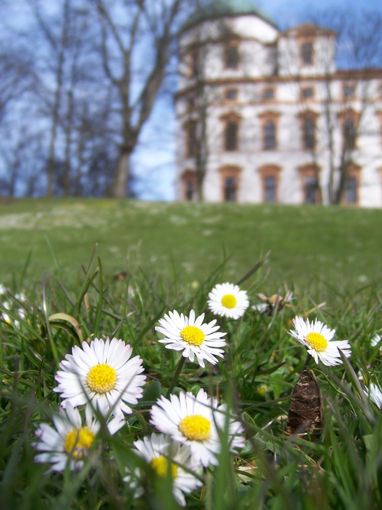 Castle in spring