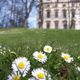 Castle in spring