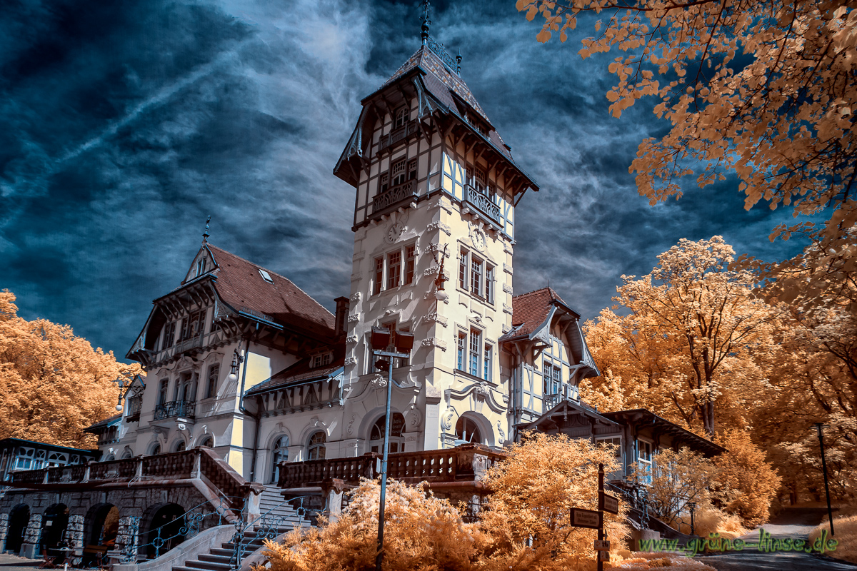 Castle in the clouds