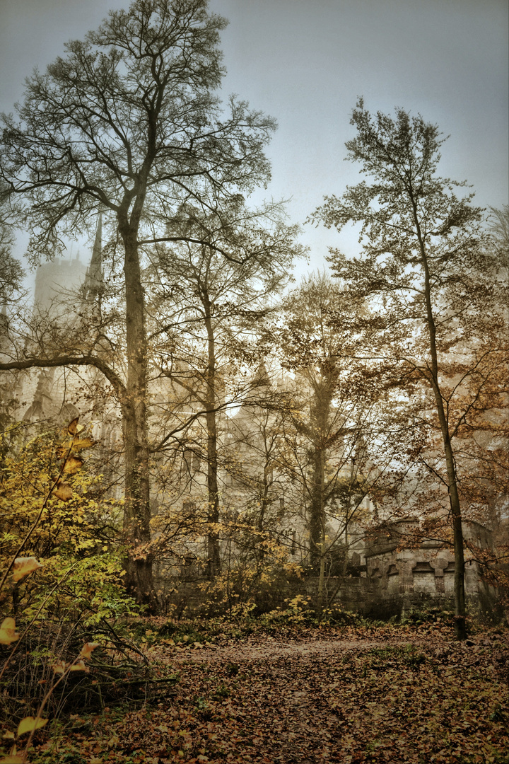 Castle in the Fog