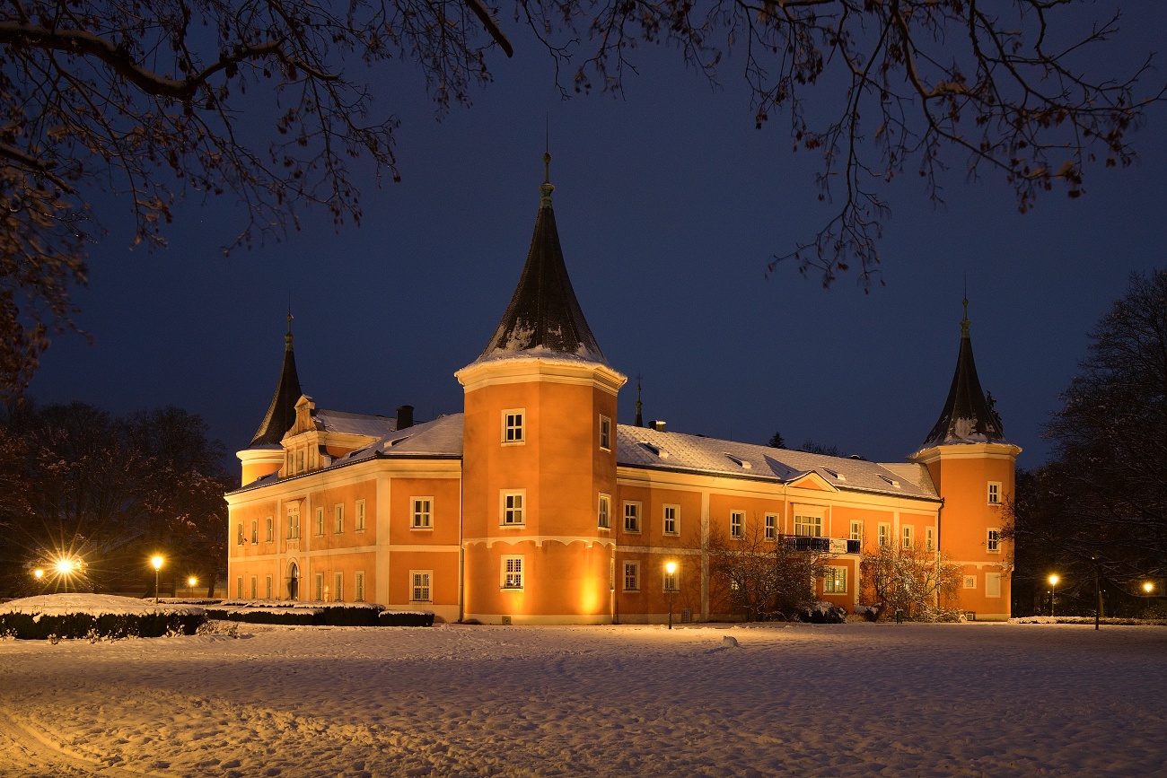 Castle in winter