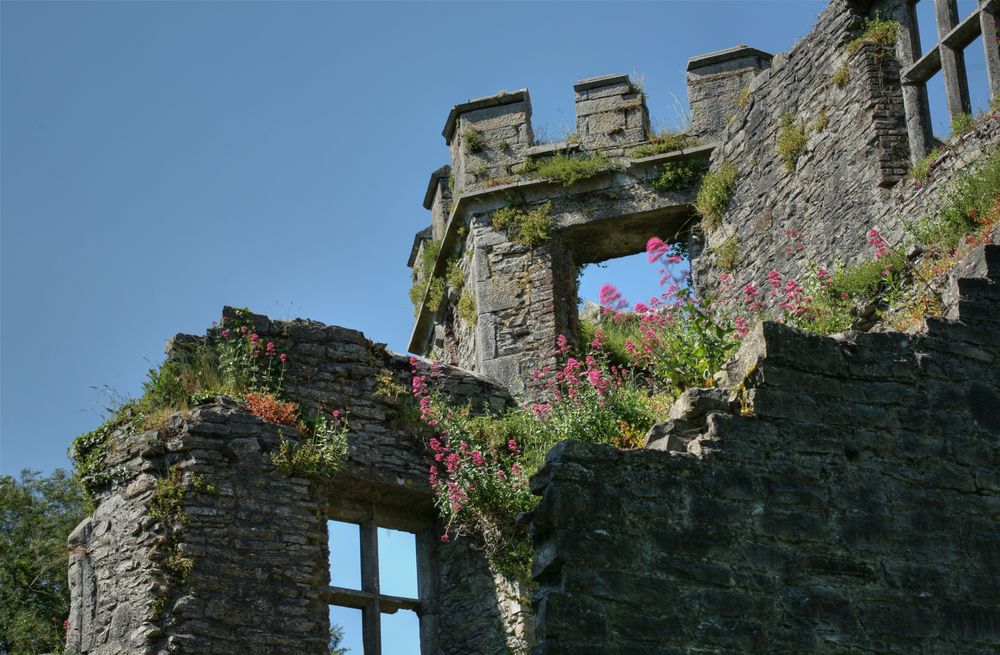 Castle Mallow Foto & Bild | europe, united kingdom & ireland, ireland