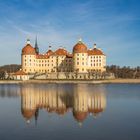 castle Moritzburg