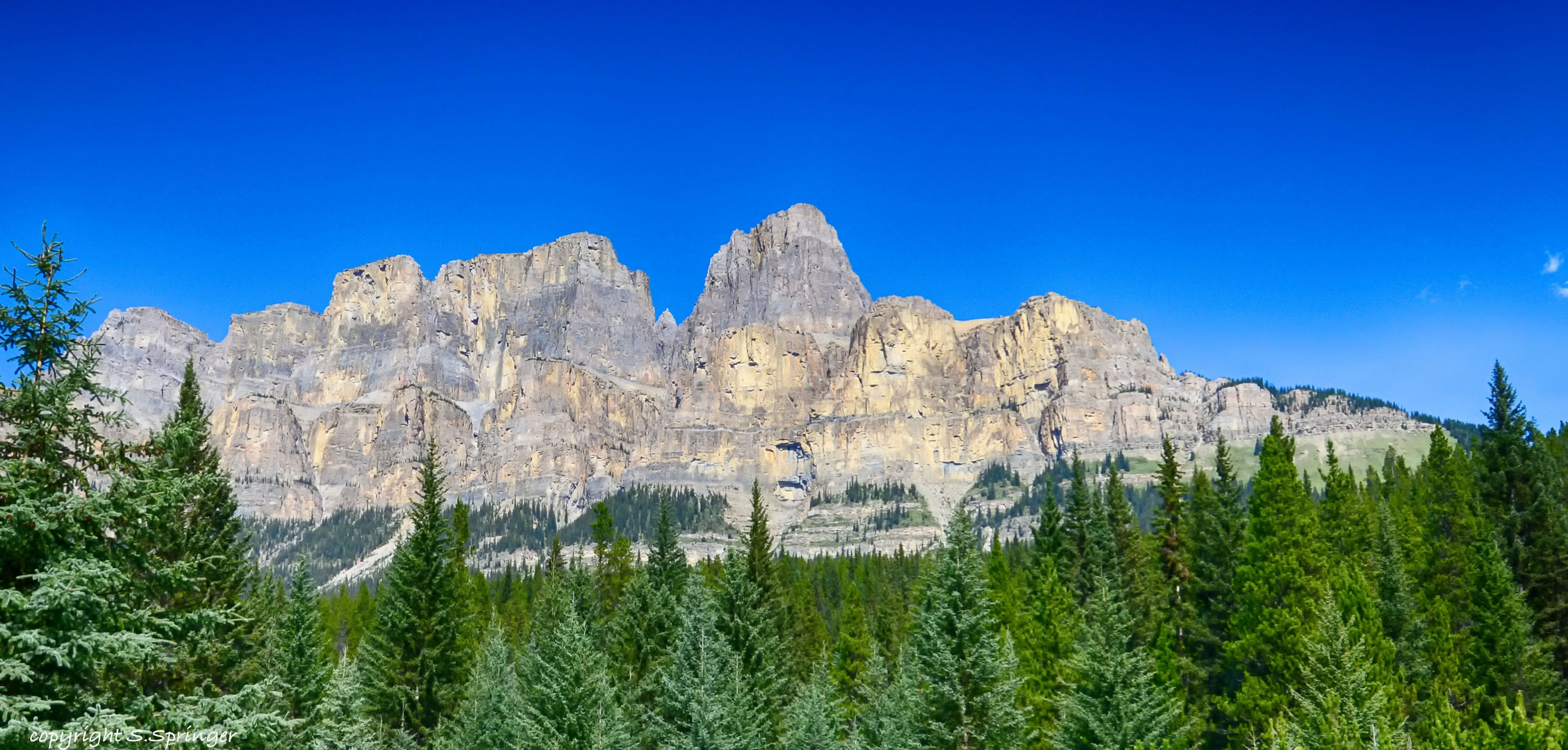 castle mountain