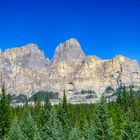 castle mountain