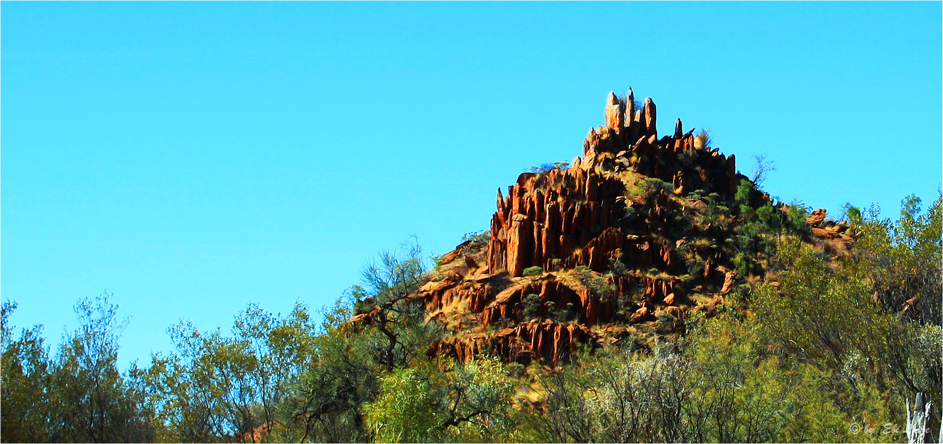 *** Castle Mountain ***