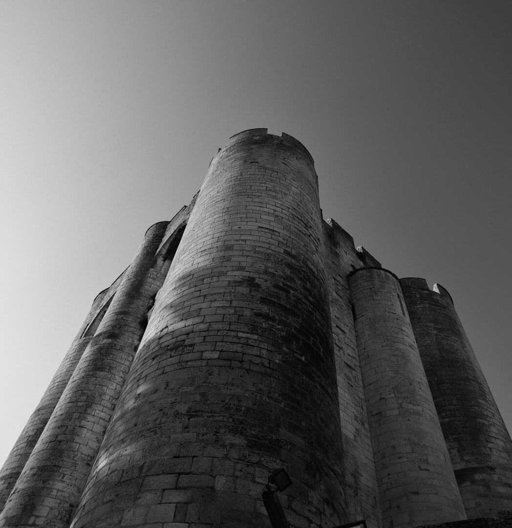 castle niort Fra