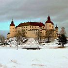 Castle of Läckö