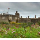 Castle of Walmer